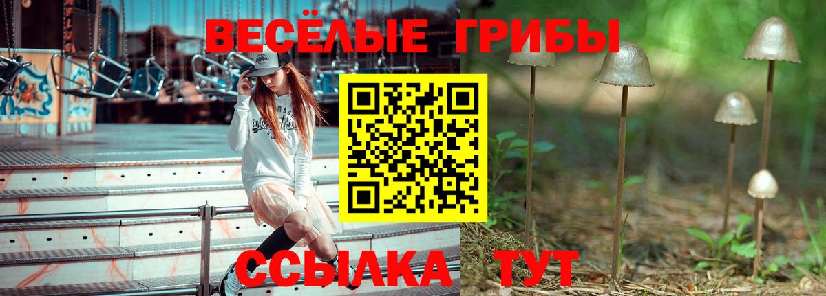 Галлюциногенные грибы GOLDEN TEACHER Орехово-Зуево